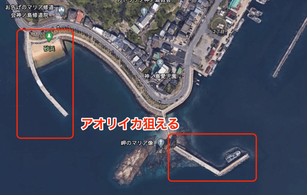 長崎エギング 回遊する春イカが釣れる神ノ島へ行け ガルゾウブログ
